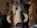Cesfur09055.jpg